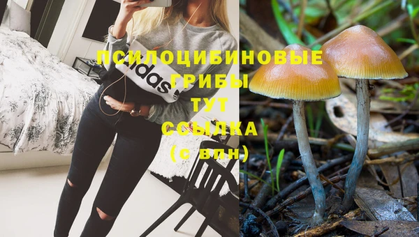 соль курить ск Михайловск