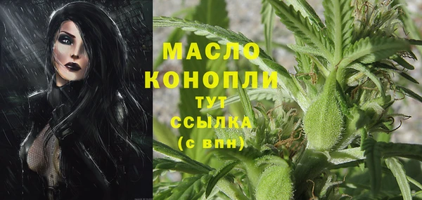 молекула духа Навашино