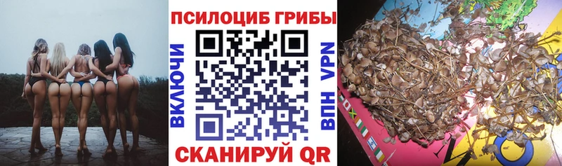 Псилоцибиновые грибы Magic Shrooms Калтан